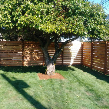 Fences Built in Bellevue, Washington