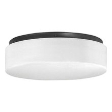 Basic Overhead Lights