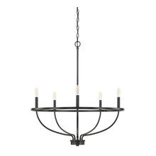 Cougar Mountain Lighting