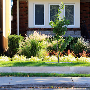 Castlewood Understated Modern Planting