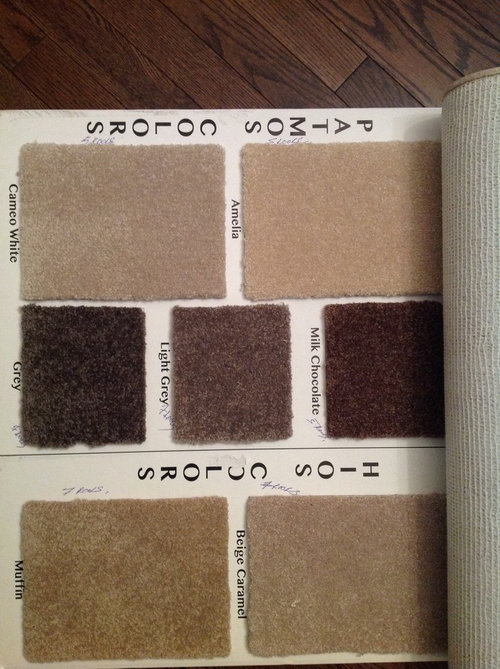 Dark carpet for basement?