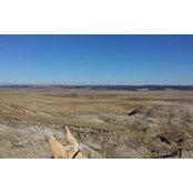 Michelle Eckart's photo