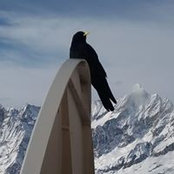 Stefano Brizio's photo