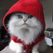 Kimberly Bartkowski's photo