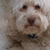 sharon tyner's photo