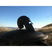 Dylan Pearson's photo