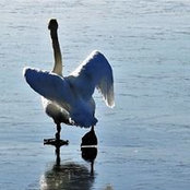 Foto von Beatrice McAteer