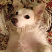 Marla Goedhart's photo