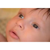 Mona Zohair's photo