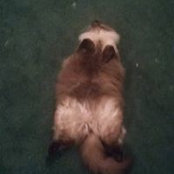 Michelle Hart's photo