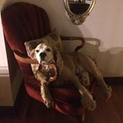 Christina Esteban's photo