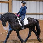 Amanda Dunn's photo