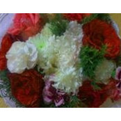 Rahma Re's photo