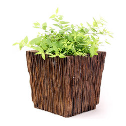 Striated Planter - Tall - Outdoor Pots And Planters