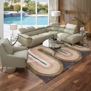 Modern Living Room
