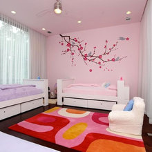 Shaie's room