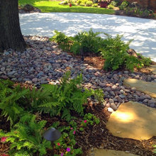 Tree Landscaping