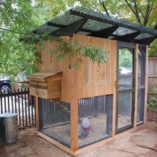 chicken coops