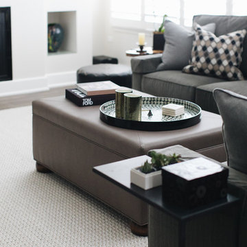 Elegant and Minimal Suburban Chicago Penthouse Family Room