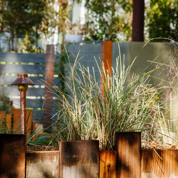 Detail on grasses and lighting fixture.