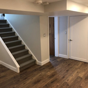 Ancaster Basement Reno