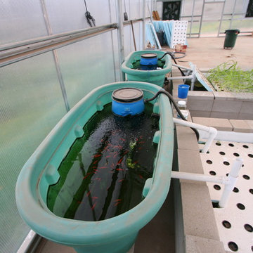 Escondido Eco-Project