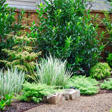 Selwyn Project: Backyard revisited