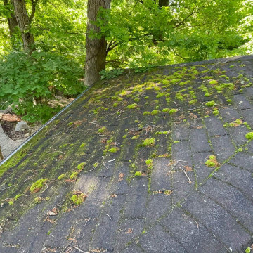 4 LAYERS ROOF - Before Moss and Weathering Damage