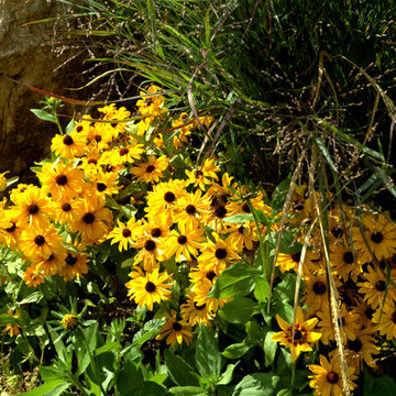 Southwest Oasis