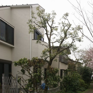 緑道から見る外観