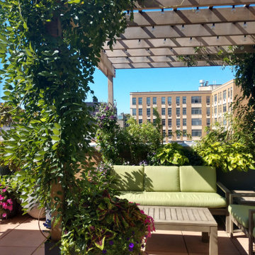 Lush Eclectic Rooftop Garden Harlem