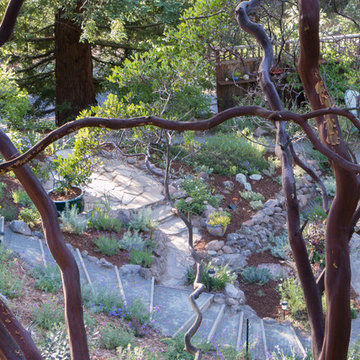 Orinda 5