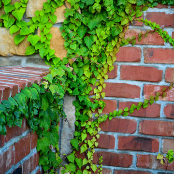 Corner lot Courtyard