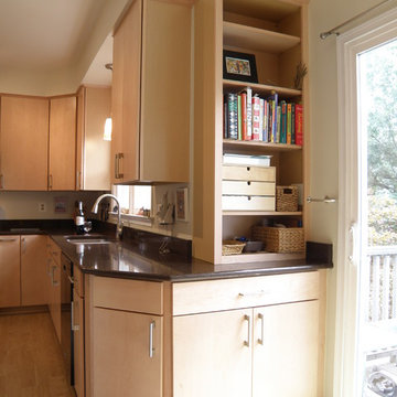 Alexandria Modern Kitchen