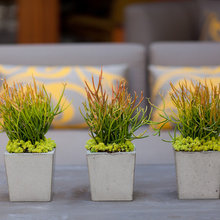 Centerpieces