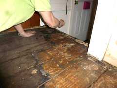 Linoleum Glue From 1900 S Wood Floors, How To Remove Glue And Paper From Hardwood Floor
