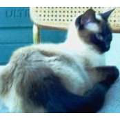 Howard Zimmerman's photo
