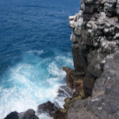 Jamie Kringstein's photo