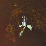 Tracy Devlin's photo