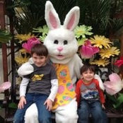 Lia Bellomo's photo