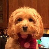 Denise Engelmann's photo