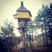 Shinya Kimura's photo
