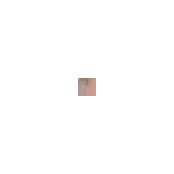 wok wok's photo