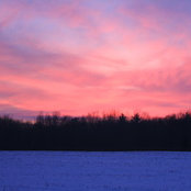 Joni VandenBosch's photo