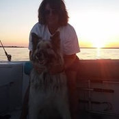 Suzanne Andrews's photo