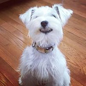 Joanne Forde's photo