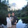 tami_mcdermott