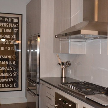 Refurbishing a Former Herring Factory loft: Soho, New York City