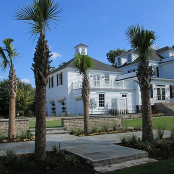 Palm Tree Gallery