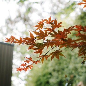 Campbell Courtyard